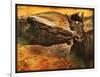 Kissing Horses I-David Drost-Framed Photographic Print