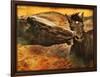 Kissing Horses I-David Drost-Framed Photographic Print