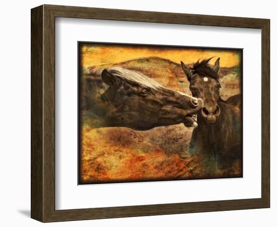 Kissing Horses I-David Drost-Framed Photographic Print