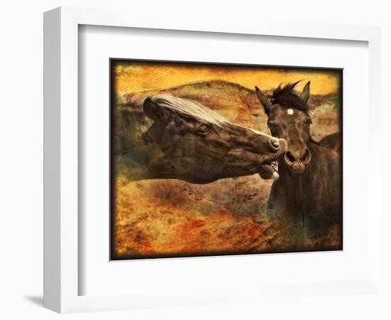 Kissing Horses I-David Drost-Framed Photographic Print