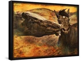 Kissing Horses I-David Drost-Framed Stretched Canvas