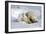 Kissing Polar Bear Cubs-Howard Ruby-Framed Premium Photographic Print