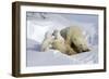 Kissing Polar Bear Cubs-Howard Ruby-Framed Photographic Print