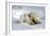 Kissing Polar Bear Cubs-Howard Ruby-Framed Photographic Print