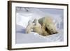 Kissing Polar Bear Cubs-Howard Ruby-Framed Photographic Print