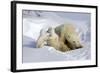 Kissing Polar Bear Cubs-Howard Ruby-Framed Photographic Print