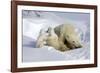 Kissing Polar Bear Cubs-Howard Ruby-Framed Photographic Print