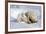 Kissing Polar Bear Cubs-Howard Ruby-Framed Photographic Print