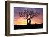 Kissing Tree at sunrise, Matera, Basilicata, Italy, Europe-Karen Deakin-Framed Photographic Print