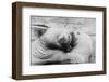 Kissing Walruses-null-Framed Photographic Print
