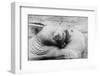 Kissing Walruses-null-Framed Photographic Print