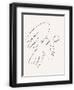 Chelsea Black