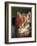 Kit Fox in Coral-Carolyn Schmitz-Framed Art Print