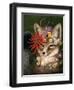 Kit Fox in Coral-Carolyn Schmitz-Framed Art Print