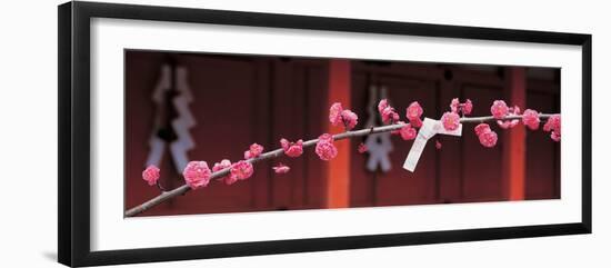 Kitano Tenmangu Kyoto Japan-null-Framed Premium Photographic Print