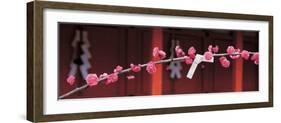 Kitano Tenmangu Kyoto Japan-null-Framed Photographic Print