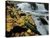 Kitchen Creek and Cayuga Falls in Autumn, Pennsylvania, USA-Charles Gurche-Stretched Canvas