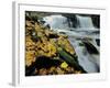 Kitchen Creek and Cayuga Falls in Autumn, Pennsylvania, USA-Charles Gurche-Framed Photographic Print