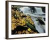 Kitchen Creek and Cayuga Falls in Autumn, Pennsylvania, USA-Charles Gurche-Framed Photographic Print