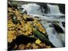 Kitchen Creek and Cayuga Falls in Autumn, Pennsylvania, USA-Charles Gurche-Mounted Photographic Print