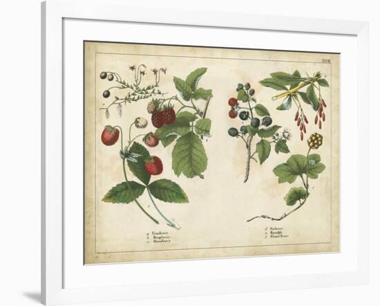 Kitchen Fruits II-null-Framed Art Print