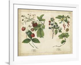 Kitchen Fruits II-null-Framed Art Print
