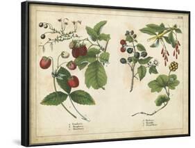 Kitchen Fruits II-null-Framed Art Print