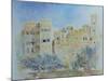 Kitchen Garden, Sana'A, North Yemen, 1975-James Reeve-Mounted Giclee Print