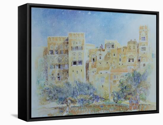 Kitchen Garden, Sana'A, North Yemen, 1975-James Reeve-Framed Stretched Canvas