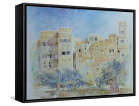 Kitchen Garden, Sana'A, North Yemen, 1975-James Reeve-Framed Stretched Canvas