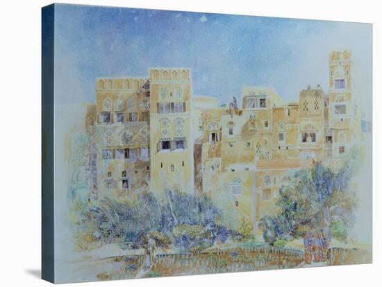 Kitchen Garden, Sana'A, North Yemen, 1975-James Reeve-Stretched Canvas