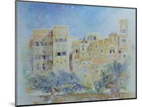 Kitchen Garden, Sana'A, North Yemen, 1975-James Reeve-Mounted Giclee Print