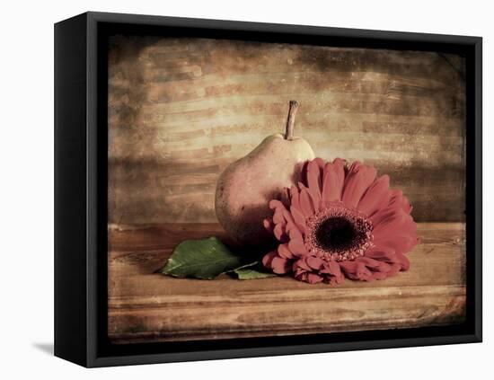 Kitchen Pear 1-LightBoxJournal-Framed Stretched Canvas