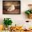 Kitchen Pear 2-LightBoxJournal-Mounted Giclee Print displayed on a wall