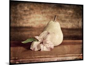 Kitchen Pear 2-LightBoxJournal-Mounted Giclee Print