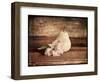 Kitchen Pear 2-LightBoxJournal-Framed Giclee Print