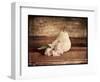 Kitchen Pear 2-LightBoxJournal-Framed Giclee Print