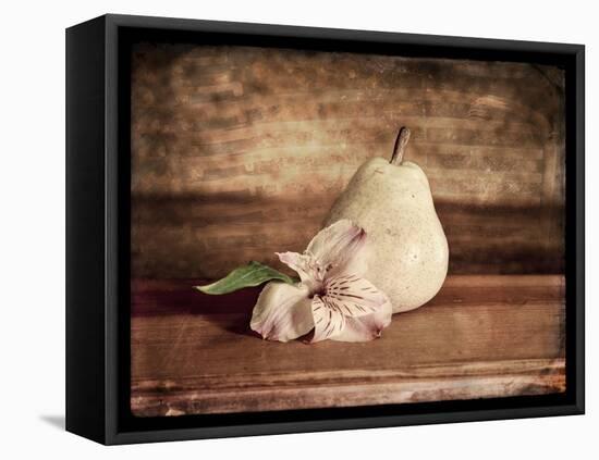 Kitchen Pear 2-LightBoxJournal-Framed Stretched Canvas