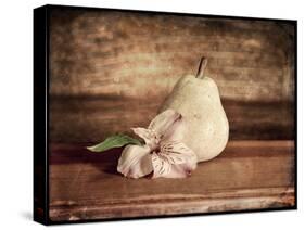 Kitchen Pear 2-LightBoxJournal-Stretched Canvas