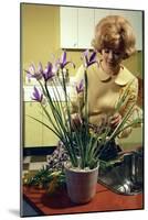 Kitchen Scene, Warwick, Warwickshire, 1966-Michael Walters-Mounted Photographic Print