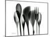 Kitchen Utencils-Albert Koetsier-Mounted Art Print