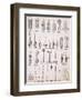 Kitchen Utensils, from a Trade Catalogue of Domestic Goods and Fittings, c.1890-1910-null-Framed Giclee Print