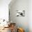 Kitchen Utensils in Dramatic Lighting-null-Stretched Canvas displayed on a wall