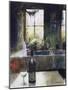 Kitchen Window-John Lidzey-Mounted Giclee Print