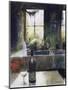 Kitchen Window-John Lidzey-Mounted Premium Giclee Print