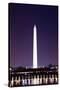 Kite and George Washington Monument.-Songquan Deng-Stretched Canvas