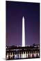 Kite and George Washington Monument.-Songquan Deng-Mounted Photographic Print