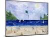 Kite Flying At The Beach-sylvia pimental-Mounted Art Print