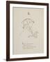 Kite Illustrations and Verses From Nonsense Alphabets Drawn and Written by Edward Lear.-Edward Lear-Framed Giclee Print