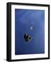 Kite Surfer in Midair-null-Framed Photographic Print